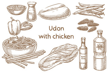 Сhicken udon. Japanese food.Ingredients. Vector sketch