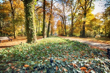 WROCLAW, POLAND - OCTOBER 18, 2019: Szczytnicki Park is situated in the vicinity of the historical...