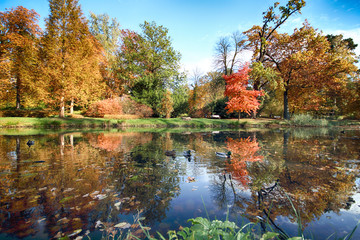 WROCLAW, POLAND - OCTOBER 18, 2019: Szczytnicki Park is situated in the vicinity of the historical...