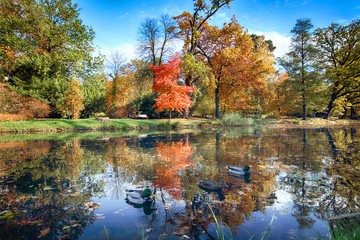 WROCLAW, POLAND - OCTOBER 18, 2019: Szczytnicki Park is situated in the vicinity of the historical...