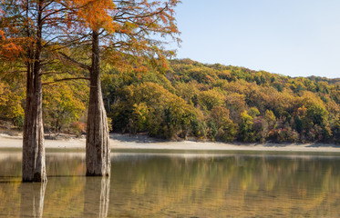 Russian lake Sukko, Krasnodar Territory, cypress grove, water, cypress lake in the fall