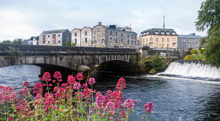 Beautiful view of the River Corrib flowing through the center of Galway city, with old buildings and wild flowers growing on a sunny summer day. - obrazy, fototapety, plakaty