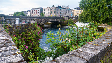 Beautiful view of the River Corrib flowing through the center of Galway city, with old buildings and wild flowers growing on a sunny summer day.