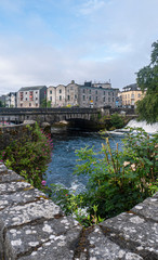 Fototapeta na wymiar Beautiful view of the River Corrib flowing through the center of Galway city, with old buildings and wild flowers growing on a sunny summer day.