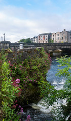 Beautiful view of the River Corrib flowing through the center of Galway city, with old buildings and wild flowers growing on a sunny summer day.