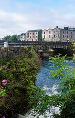 Fototapeta na wymiar Beautiful view of the River Corrib flowing through the center of Galway city, with old buildings and wild flowers growing on a sunny summer day.