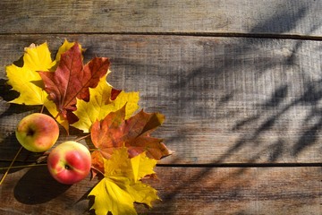 Apple and autumn leaves on old grungle wooden background. Yellow and orange colors. Autumn concept.