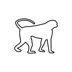 Monkey web line icon for web and mobile, modern minimalistic flat design. Vector black icon isolated on white background.