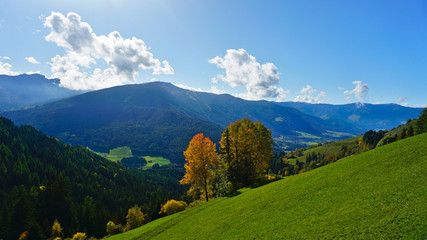 Obraz premium Bergtal mit Bäumen im Herbst