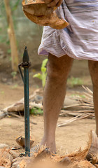 Tool for removing coconut husk