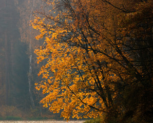 Jesień Nad Jeziorem - Warmia i Mazury  © Wojciech Lisiński