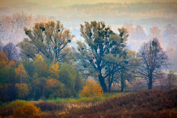 Jesienny Krajobraz Warmii i Mazur 