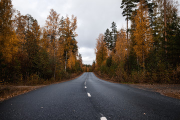 Fototapeta na wymiar Beautiful moody scene of highway through Autumn forest.