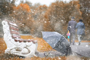 Autumn park in the first snow