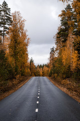 Fototapeta premium Beautiful moody scene of highway through Autumn forest.