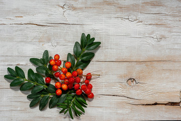 Christmas floral element for decoration in the festive background for the new year