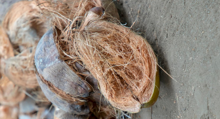 Coconut husk background, this photo show group of closeup coconut fiber.