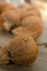 Closeup shot of Focus on coconut bursting on the ground