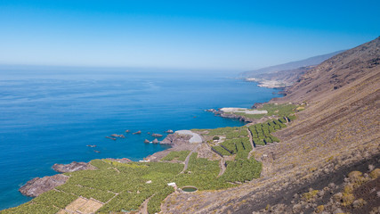 Banana cultivation on La Palma Island, Canary Islands, Spain