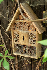 Insektenhotel für insekten und schmetterlinge zum brüten und überwintern