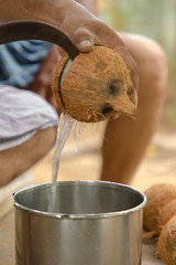 Man using knife to chopped fresh coconut for drink and green coconuts background,