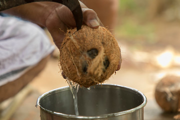 Man using knife to chopped fresh coconut for drink and green coconuts background,