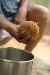Cropped Hand Of Man Holding Coconut