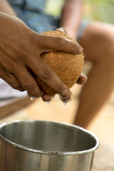 Man opens tropical coconuts at home