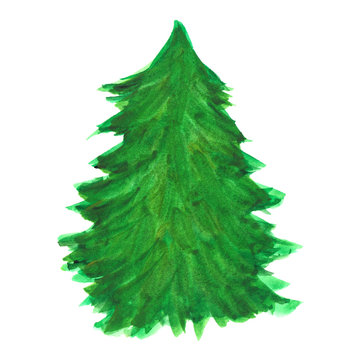 Watercolor drawing of a green Christmas tree on a white