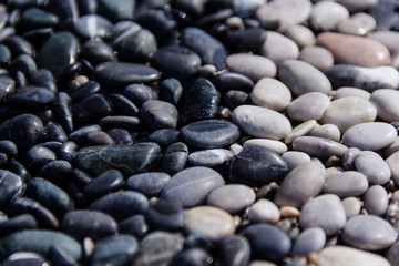 Pebble beach of the Aegean coast, Turkey