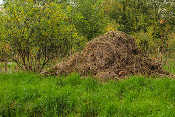 composting in filed to gain organic .fertilizer. One one to protect our plante