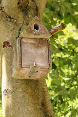 Nistkasten oder Vogelhaus für einheimische Vögel zum Schutz der Jungtiere und Eier