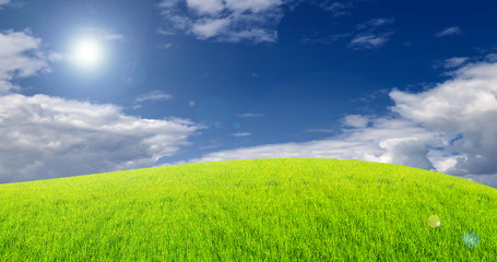 Obraz na płótnie Canvas green field grass with a blue sky and clouds