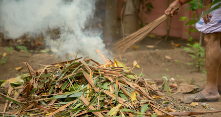 Man cleaning fallen autumn leaves in the backyard, burn fire green and dry coconut tree leaf in garden,