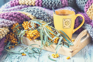 Fototapeta premium Cup of herbal tea, sea-buckthorn and knitted blanket on the wooden background, toned.