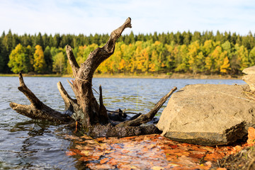 Herbststimmung am Frankenteich im Harz
