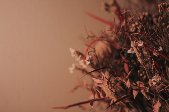 flowers on the yellow background