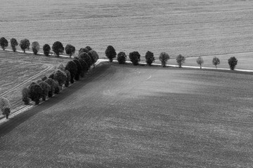 Blick vom Gläsernen Mönch bei Halberstadt auf abgeerntete Felder im Herbst