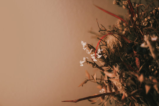 Flowers on the yellow background