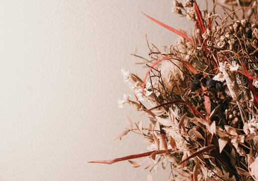 flowers on the white background