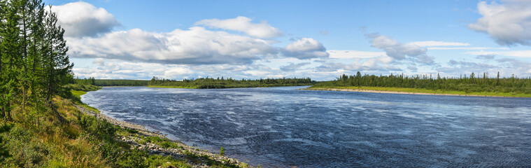 Panorama. Summer landscape of the northern river.