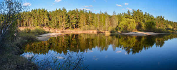 Panorama of the spring forest river.