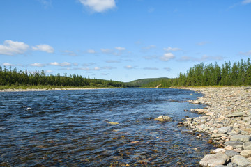 Northern taiga river in the Polar Urals.