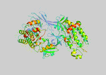 3D model of a protein molecule.