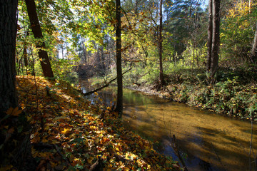 Autumn landscape with river and forest, Mienia river nature reserve, Mazovia, Poland