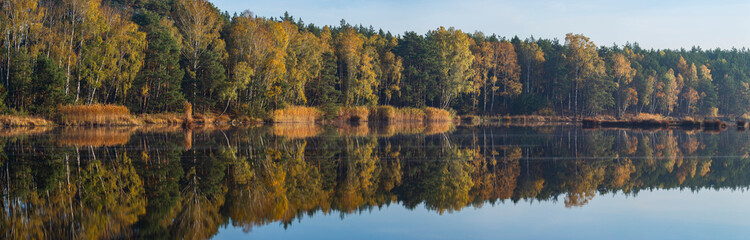 Autumn colors of trees by the lake