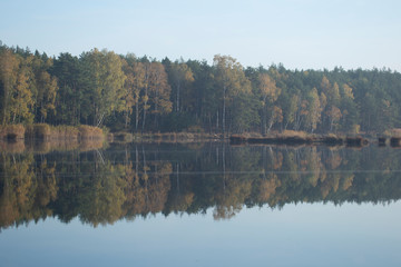 Autumn colors of trees by the lake