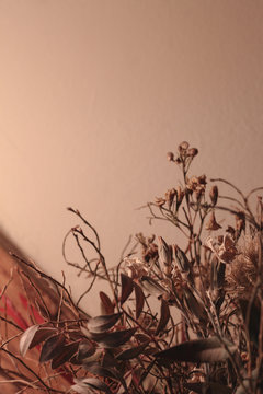 flowers on wooden background