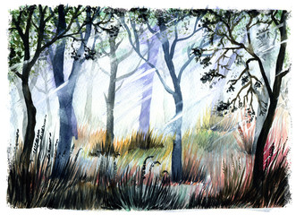 spring morning forest, watercolor illustration