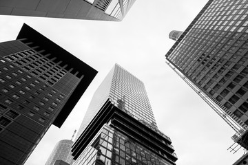 Black and white tone, Low angle view of modern skyscrapers, High rise building in downtown district of Frankfurt, Germany. 